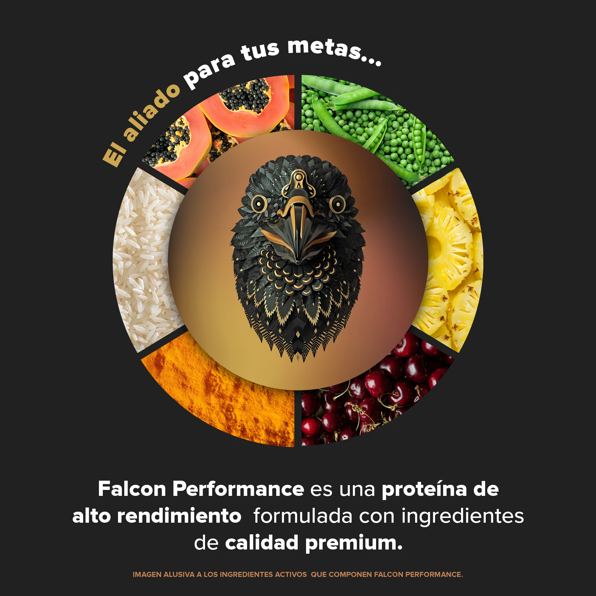 Falcon Performance Proteína en Polvo con Creatina & BCAAs - Golden Vanilla 722 g - Image 4