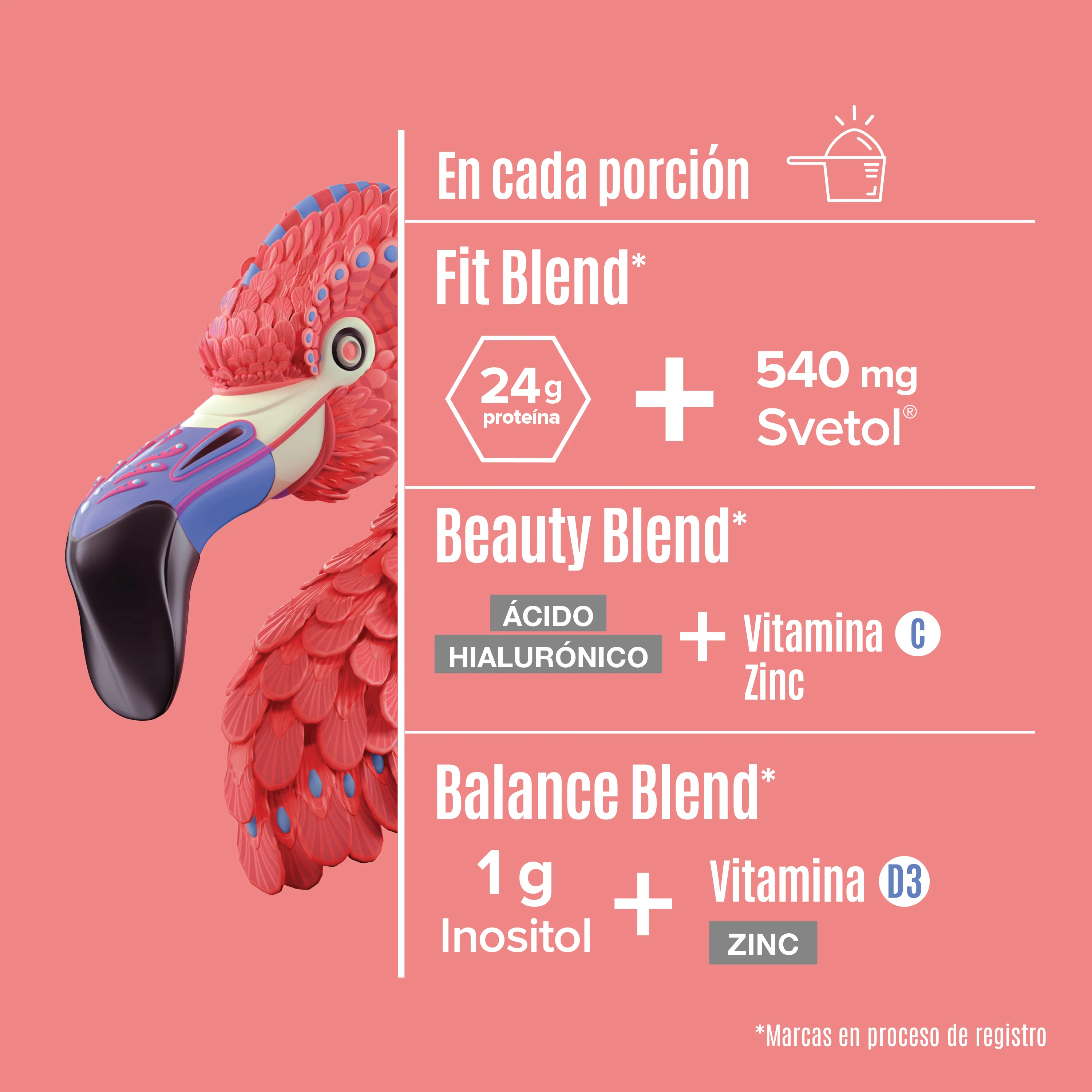 Fitmingo Protein Proteína en Polvo con Inositol & Vitaminas - Blueberry 510 g - Image 4
